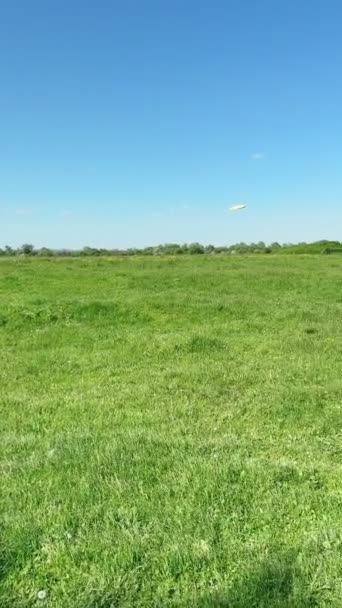 Familia Feliz Jugando Frisbee Campo Verde Verano Aire Libre — Vídeos de Stock