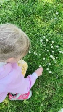 Yeşil tarlada çiçek toplayan sevimli küçük kız.