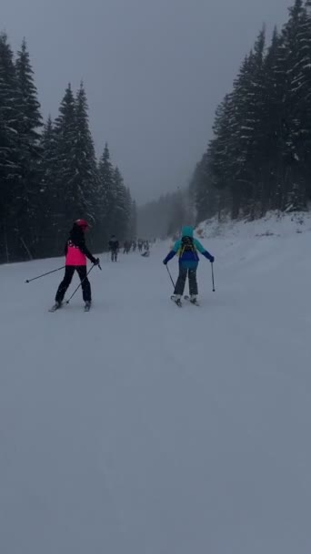 Mujer Esquiadora Ladera Hermosas Montañas Vista Vacaciones Invierno — Vídeo de stock