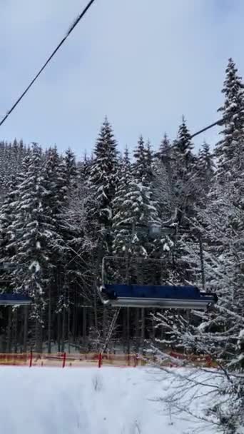 Utsikt Över Stol Hiss Tall Träd Täckt Med Snö Skidort — Stockvideo