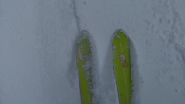 Vista Esquí Moviéndose Polvo Sobre Cabeza — Vídeo de stock