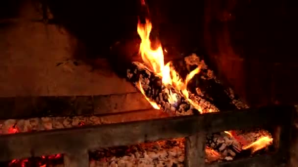 Gotowanie Mięsa Ogniu Grill Zbliżenie — Wideo stockowe