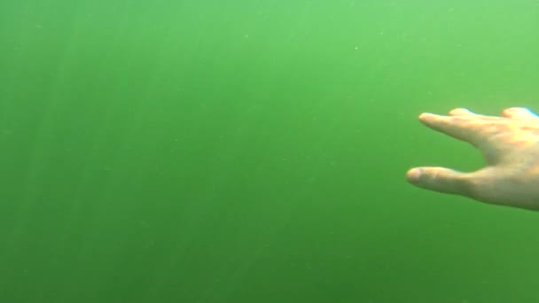 Πρώτου Προσώπου Πνιγμού Χέρι Άνθρωπος Κάτω Από Νερό Λίμνη Ποταμού — Αρχείο Βίντεο