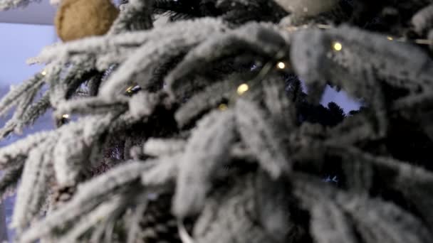 快乐的女人在家里装饰圣诞树 — 图库视频影像