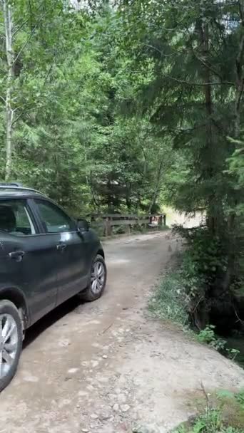 Przejazd Samochodem Suv Przez Mały Most Karpatach Czas Letni — Wideo stockowe