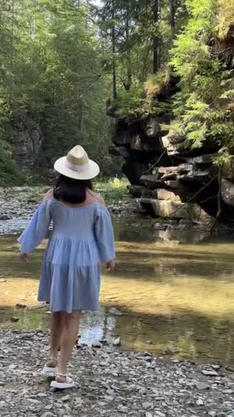 Glückliche Reisende Kleid Beim Sommerurlaub Gebirgsfluss — Stockvideo