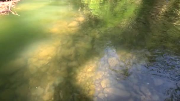 Blick Auf Gebirgsfluss Karpaten Bergukraine — Stockvideo
