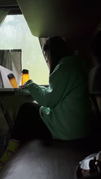 Γυναίκα Στο Τρένο Που Εργάζεται Φορητό Υπολογιστή Ενώ Στο Δρόμο — Αρχείο Βίντεο