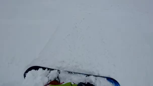 粉末状雪地滑雪场雪地仿制空间中的滑雪者Pov — 图库视频影像