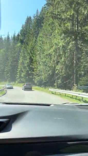 夏天从喀尔巴阡山路的汽车上眺望 — 图库视频影像
