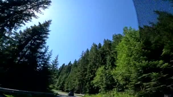 夏天从喀尔巴阡山路的汽车上眺望 — 图库视频影像