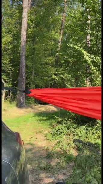 Homem Desligar Rede Entre Carro Árvore Local Acampamento Verão — Vídeo de Stock
