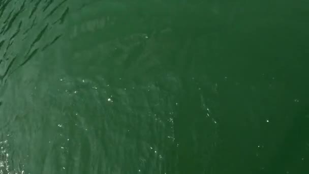 スーパーボードの夏の活動から水に飛び込む貧しい男 — ストック動画