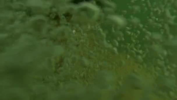 水の夏の活動に飛び込むセルフィーを取る幸せな男 — ストック動画
