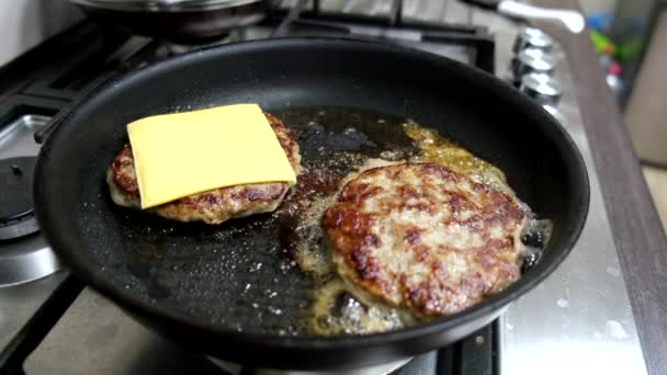 Frying Burgers Meat Cheese Top Pot Domestic Kitchen — Stock Video