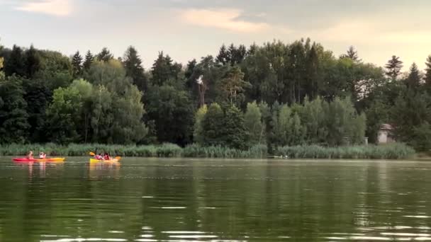 Menschen Chillen Auf Dem See Bei Sonnenuntergang Paddelboot — Stockvideo