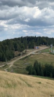 Ukrayna Karpat Dağları yaz dönemi kopyalama alanı