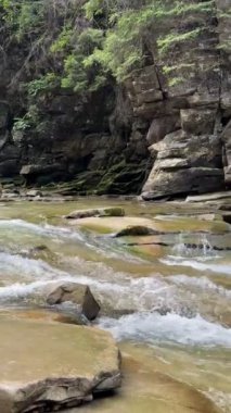 Ukrayna Karpatya yazında dağ nehri manzarası