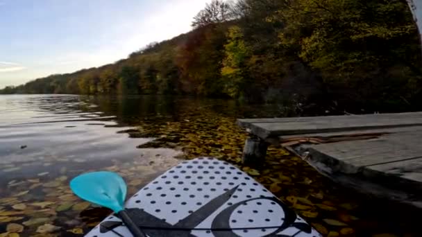 Gezichtspunt Supboarder Uitzicht Drijvend Door Meer Bedekt Met Herfst Kleurrijke — Stockvideo