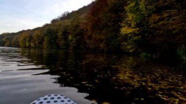 Pov supboarder manzarası sonbahar renkli yapraklarla kaplı göl kıyısında yüzüyor.