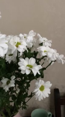 Vazoya yakın bir buket papatya çayı.