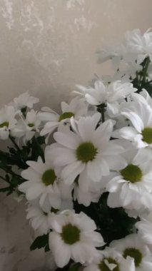 Vazoya yakın bir buket papatya çayı.