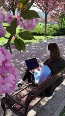 Sakura çiçekleri açan kadın dizüstü bilgisayarla arka planda çalışıyor dışarıda bankta oturuyor.