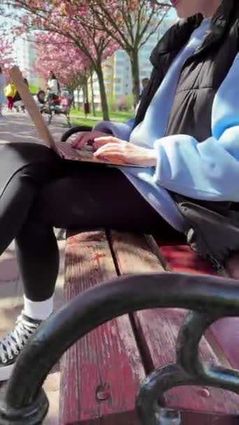 Mulher Fora Trabalhando Laptop Florescendo Sakura Fundo Conceito Freelance — Vídeo de Stock