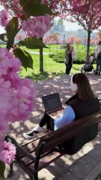 Ανθισμένα Λουλούδια Sakura Close Γυναίκα Που Εργάζονται Φορητό Υπολογιστή Στο — Αρχείο Βίντεο