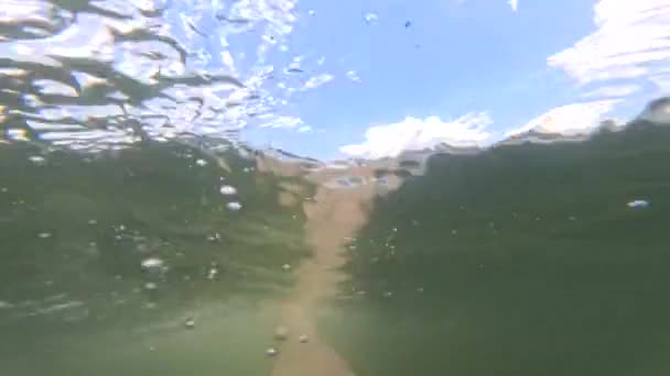 Pernas Natação Atividades Subaquáticas Lago Verão — Vídeo de Stock