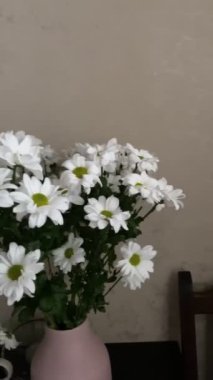 Vazoya yakın bir buket papatya çayı.