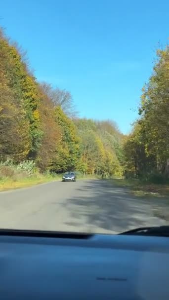 Pov View Driving Car Autumn Highway Copy Space — Stock Video