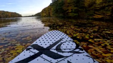 Pov supboarder manzarası sonbahar renkli yapraklarla kaplı göl kıyısında yüzüyor.