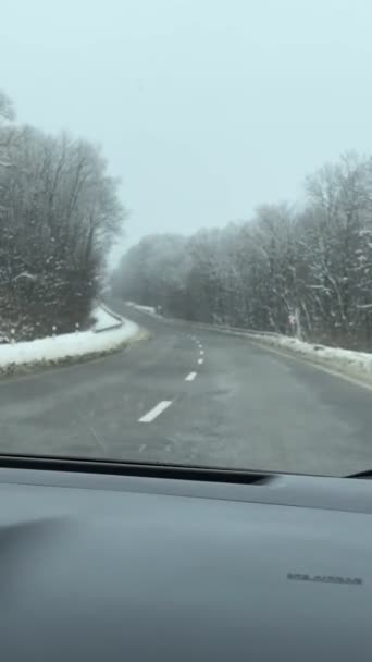 Uitzicht Het Verplaatsen Auto Door Winter Snelweg Weg Reis — Stockvideo