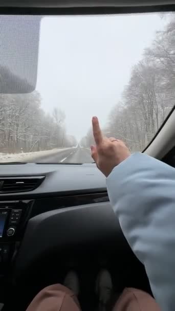 Kvinna Passagerare Pov Tittar Vintern Motorväg Väg Resa — Stockvideo