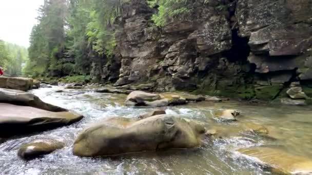 Άποψη Του Ποταμού Βουνού Στην Ουκρανική Καρπάθια Καλοκαίρι — Αρχείο Βίντεο