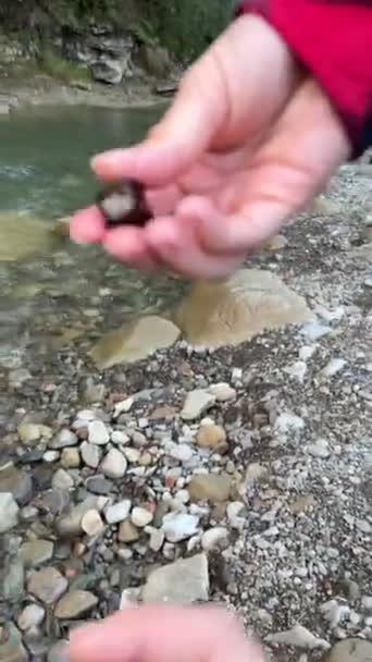 在山河边寻找岩石 — 图库视频影像
