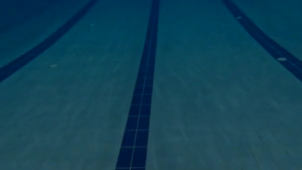Pov Ver Homem Nadando Subaquático Atividades Desportivas Piscina — Vídeo de Stock