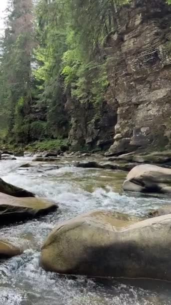 Vista Del Río Montaña Verano Los Cárpatos Ucrania — Vídeos de Stock