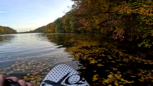 Pov Supboarder Άποψη Επιπλέουν Από Λίμνη Που Καλύπτεται Φθινόπωρο Πολύχρωμα — Αρχείο Βίντεο