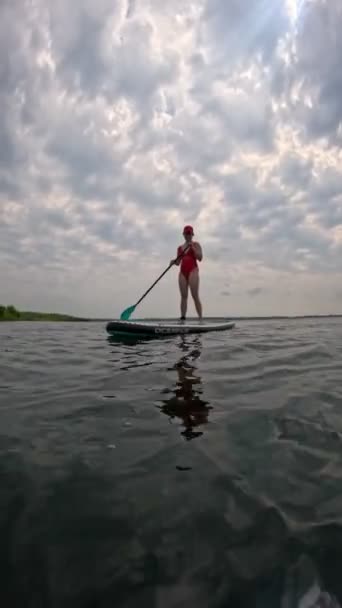 幸せな女性は湖のスーパーボードパドリングのバランスを保ちます — ストック動画