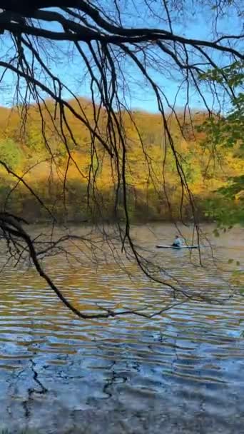 Vue Homme Sur Supboard Milieu Lac Automne Forêt Colorée Sur — Video