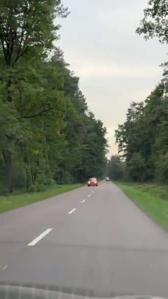 Vista Desde Interior Conducción Coches Por Carretera País Hora Verano — Vídeos de Stock