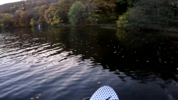 秋の色の森を背景のコピースペースで湖の上にスーパーボード — ストック動画