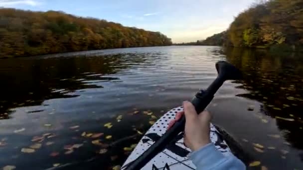 Pov Supboarder View Floating Lake Covered Autumn Colorful Leaves Fall — Stock Video