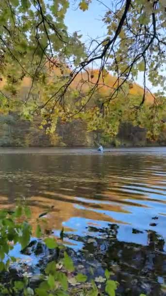 Pohled Člověka Podložce Uprostřed Podzimního Jezera Barevný Les Pozadí — Stock video