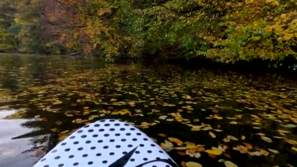 Pov Supboarder Pohled Plovoucí Jezera Pokryté Podzimní Barevné Listy Podzimní — Stock video