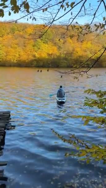 Vue Homme Sur Supboard Milieu Lac Automne Forêt Colorée Sur Vidéo De Stock Libre De Droits