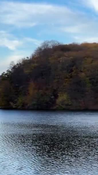Vue Paysage Lac Automne Avec Des Vagues Lumière Forêt Dorée Séquence Vidéo