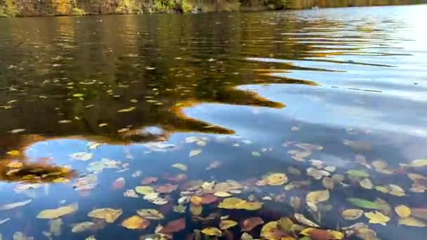 Landschaft Blick Auf Herbst See Mit Goldenen Wald Lichtwellen Auf Lizenzfreies Stock-Filmmaterial